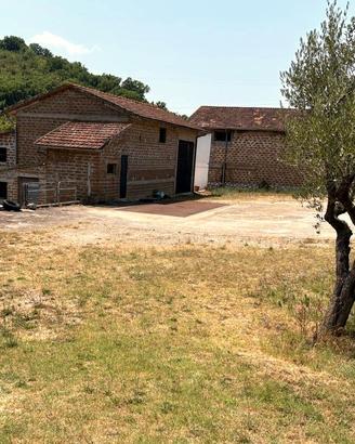 Alviano: terreno 10.000mq, uliveto, 3 magazzini C2