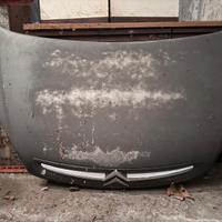 Cofano citroen xsara picasso