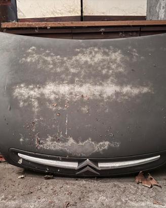 Cofano citroen xsara picasso