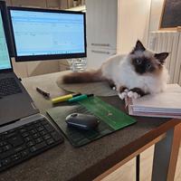 teamgee monitor portatile estensore dello schermo