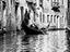 Immagine 7