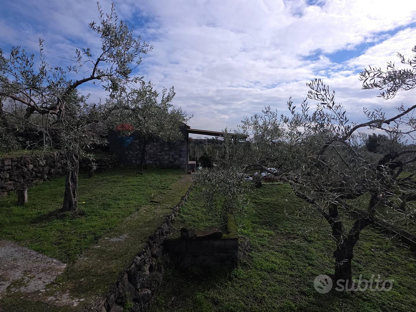 Terreno - San Pietro Clarenza - Vista 2