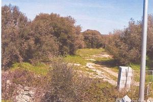 Sant'Antonio di Gallura .Terreno edificabile zonaC
