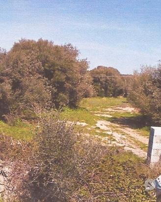Sant'Antonio di Gallura .Terreno edificabile zonaC