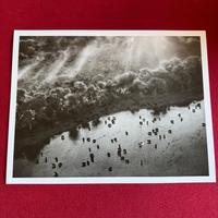 Sebastião Salgado - Okavango Delta (Genesis, 2007)