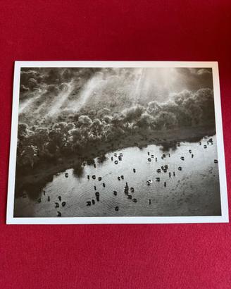 Sebastião Salgado - Okavango Delta (Genesis, 2007)