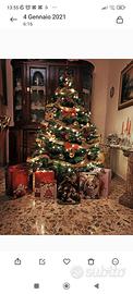 albero di natale, senza addobbi 