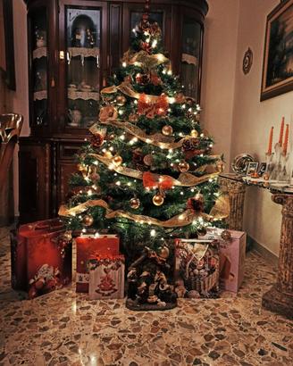 albero di natale, senza addobbi 