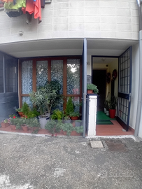 Vendita appartamento