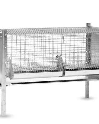 gabbia zincata per galline e pulcini 