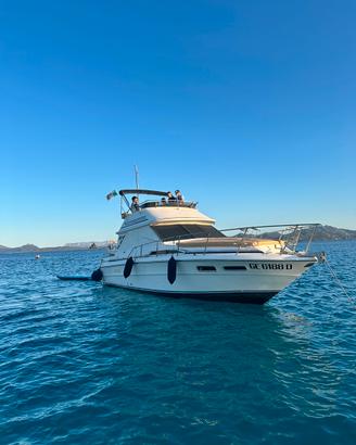 Barca Sea Ray 34 Sedan Bridge con Fly