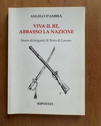 Viva il Re, abbasso la Nazione