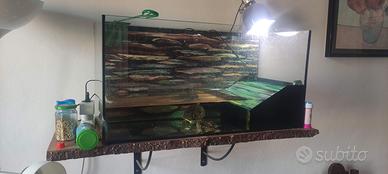 Acquario per tartarughe