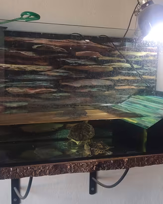 Acquario per tartarughe