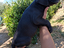 Immagine 2