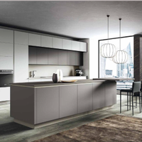 CUCINA LINEARE A TUTTA ALTEZZA   ISOLA+PIANO SNACK