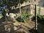 Immagine 29