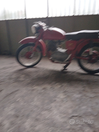 Moto guzzi lodola 175