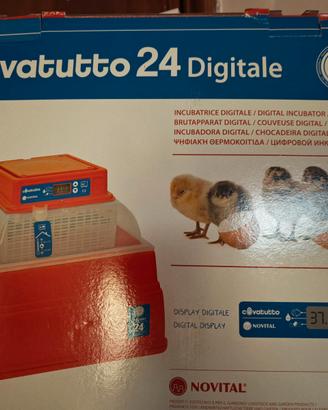 Covatutto 24 digitale