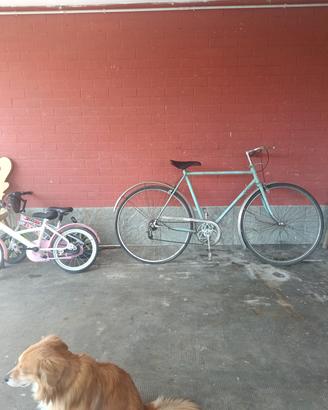 bici condorino bianchi campagnolo.,//