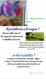 Acquari