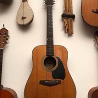 Chitarra 12 corde Ibanez Performance