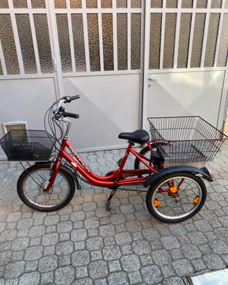 Bici 3ruote elettrica