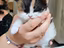 Immagine 4