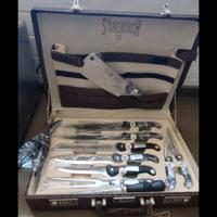 Set coltelli Solingel 11 pezzi 