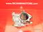Immagine 18