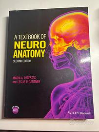 Neuroanatomy