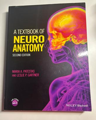 Neuroanatomy
