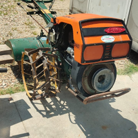 GOLDONI 14CV SPECIAL con avviamento elettrico