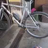 bicicletta ragazzo/a mountain bike Champions