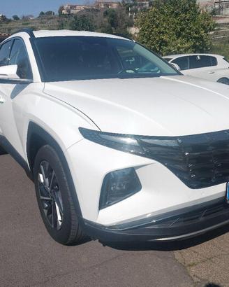 HYUNDAI - Tucson 1.6 crdi Exellence 2wd