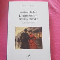 Libro L'educazione sentimentale