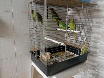 Non contattare prima di leggere tutto