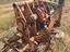 Immagine 4