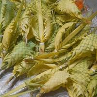 Palme intrecciate