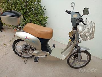 bicicletta elettrica a pedalata assistita