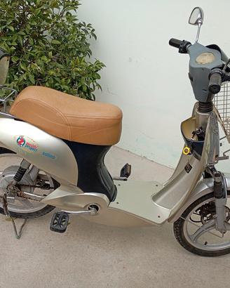 bicicletta elettrica a pedalata assistita