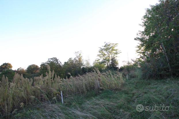 TER. AGRICOLO A MONCALIERI