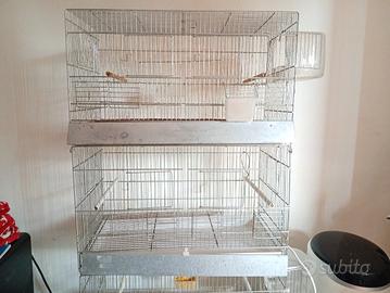 gabbietta per canarini 