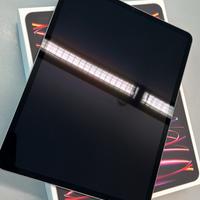 IPAD PRO 12.9 WIFI CL 256GB (6th)