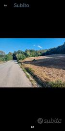 Nei pressi della Cattolica