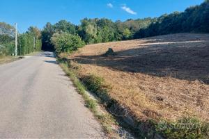 Nei pressi della Cattolica