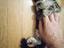 Immagine 3