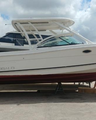 Robalo R317