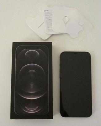 iPhone 12 Pro Max 256GB Graphite