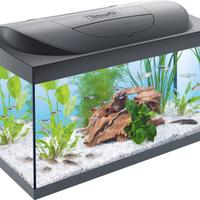 Acquario 100 lt
